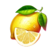 harley quickwin lemon symbol