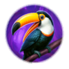 inca queen toucan symbol
