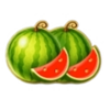 joker royal coins hold and win melon symbol