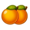 joker royal coins hold and win orange symbol