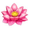 macaco da fortuna lotus symbol