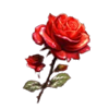mariachi coins rose symbol