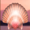 mighty aphrodite shell symbol