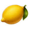 miss cherry wild frames lemon symbol