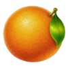 miss cherry wild frames orange symbol