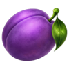 miss cherry wild frames plum symbol