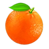 multi hot 5 super wilds orange symbol