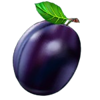 multi hot 5 super wilds plum symbol