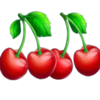 multi hot 5 wild cherries symbol