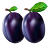 multi hot 5 wild plums symbol