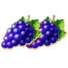 phoenix luck hotfire hold and win buy bonus grapes symbol
