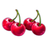 pink clovers xxxl hold and win cherry symbol