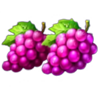 pink clovers xxxl hold and win grape symbol
