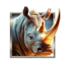 rhino coins hit the bonus scatter 2 symbol