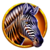 savannah strike extra zebra symbol