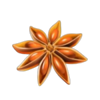 super hot flaming pots mr lee flower symbol