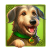 the blarney stone dog symbol