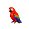 triple treasure cove hold and win parrot symbol