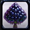 tutti cubi grape symbol