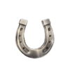 well of riches horseshoe symbol