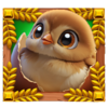 wild chicken brown chick symbol