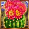 wild colt cactus flower symbol