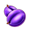 winning clover 5 hold and win plum symbol