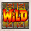 witch doctor goes wild wild symbol