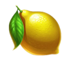 wolf fury fire blitz lemon symbol