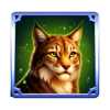 wolf storm hold and win wild cat symbol