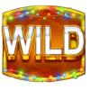 5 christmas fruits wild symbol