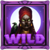 9 masks of voodoo wild symbol