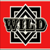 bar x xl wild symbol