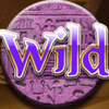 book of pharaon wild symbol