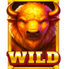 buffalo treasure hold and win wild symbol