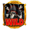 captain winbreaker wild symbol