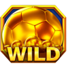 champions of the spin wild symbol