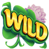 clover rollover startrail wild 1 symbol