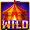 coin clown hold and win wild symbol