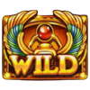 coin kingdom egyptian wild symbol