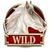 divine fortune black wild symbol