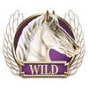 divine fortune powerpoints wild horse symbol