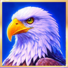 eagle cash collect and link wild symbol