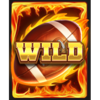 field of victory wild symbol