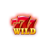 fortune coins 2 wild symbol