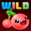 frooti booti wild symbol