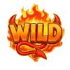 hell cash wild symbol