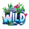 hooked on a winner wild symbol