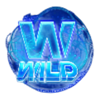 launch to riches wild symbol