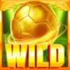 liga fortuna megaways wild symbol
